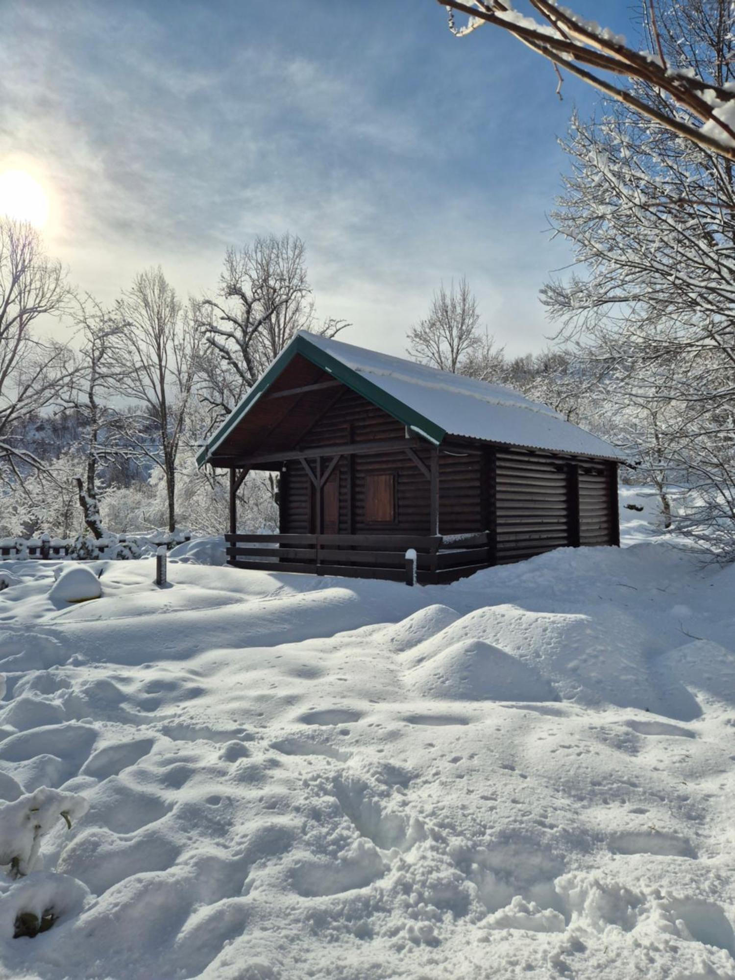 Cabin House Dubovik ツェティニェ エクステリア 写真
