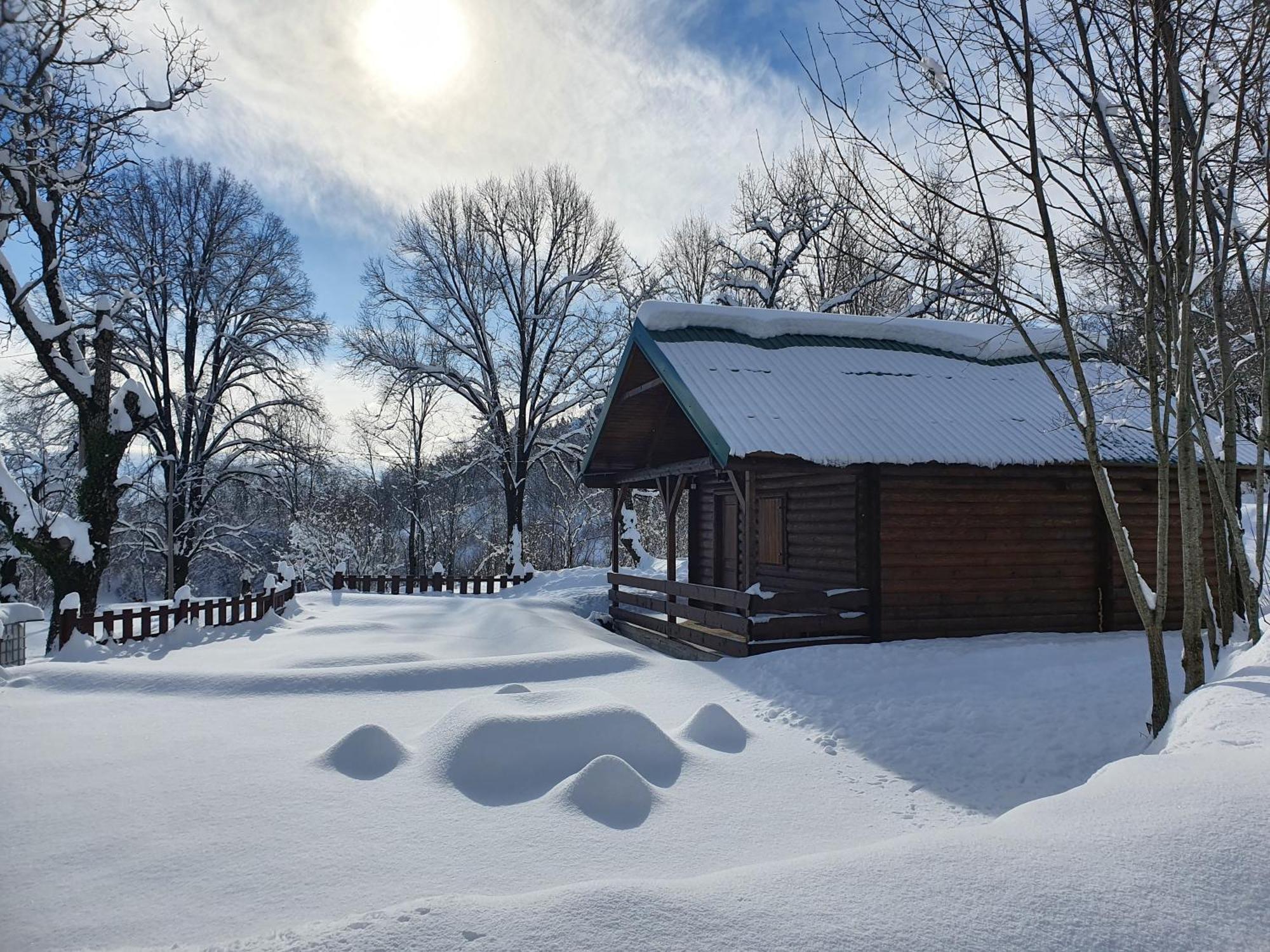 Cabin House Dubovik ツェティニェ エクステリア 写真